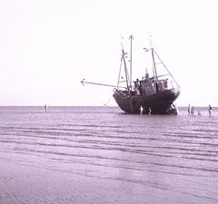 Nordsee - Strandgut