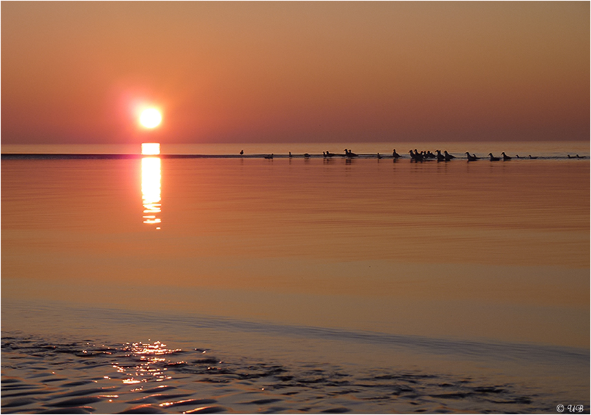 Nordsee-Summer-Feeling