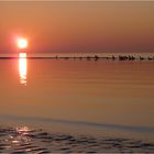 Nordsee-Summer-Feeling