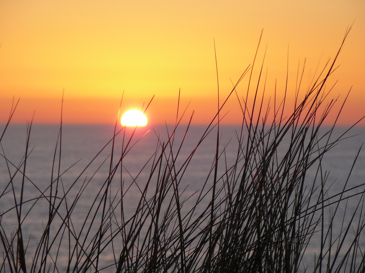 Nordsee Sunset.....