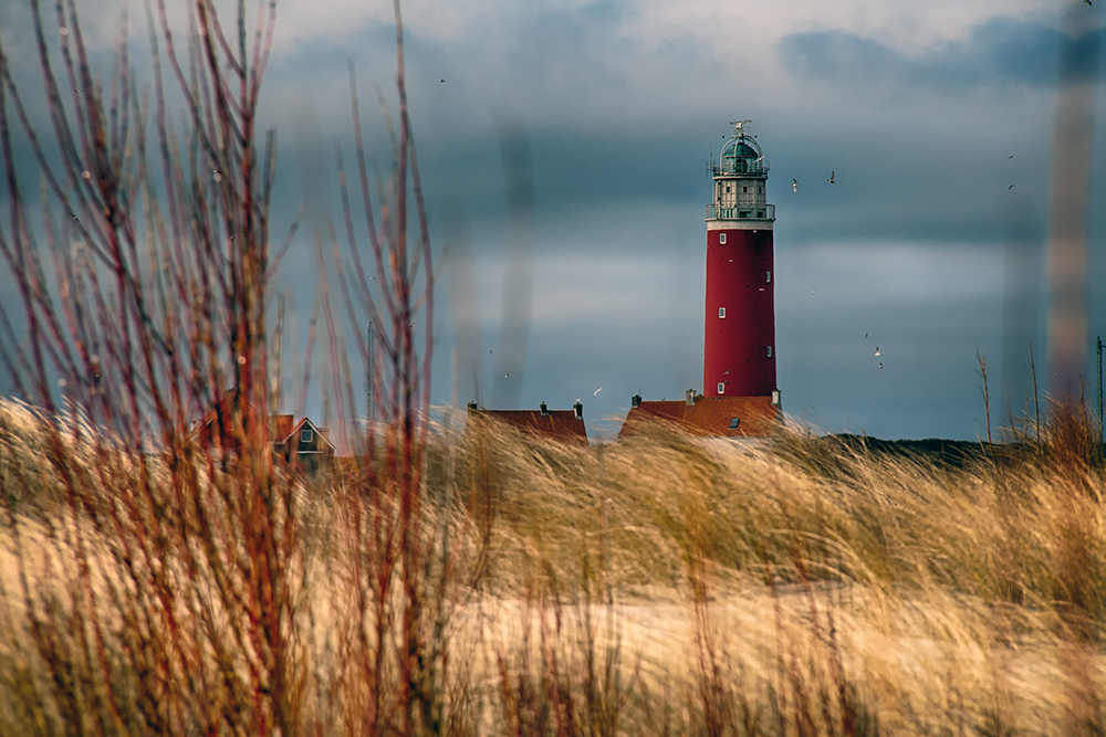 NORDSEE - Texel