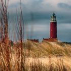 NORDSEE - Texel