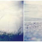 Nordsee trifft Holga