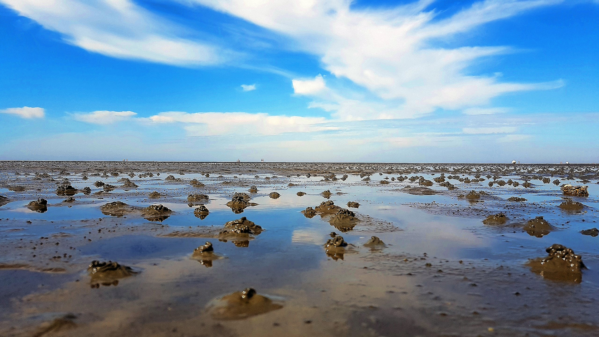 Nordsee/ Watt