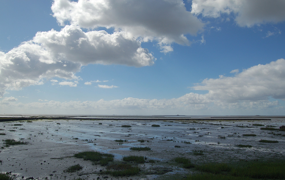 Nordsee-Watt