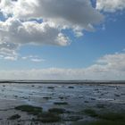 Nordsee-Watt