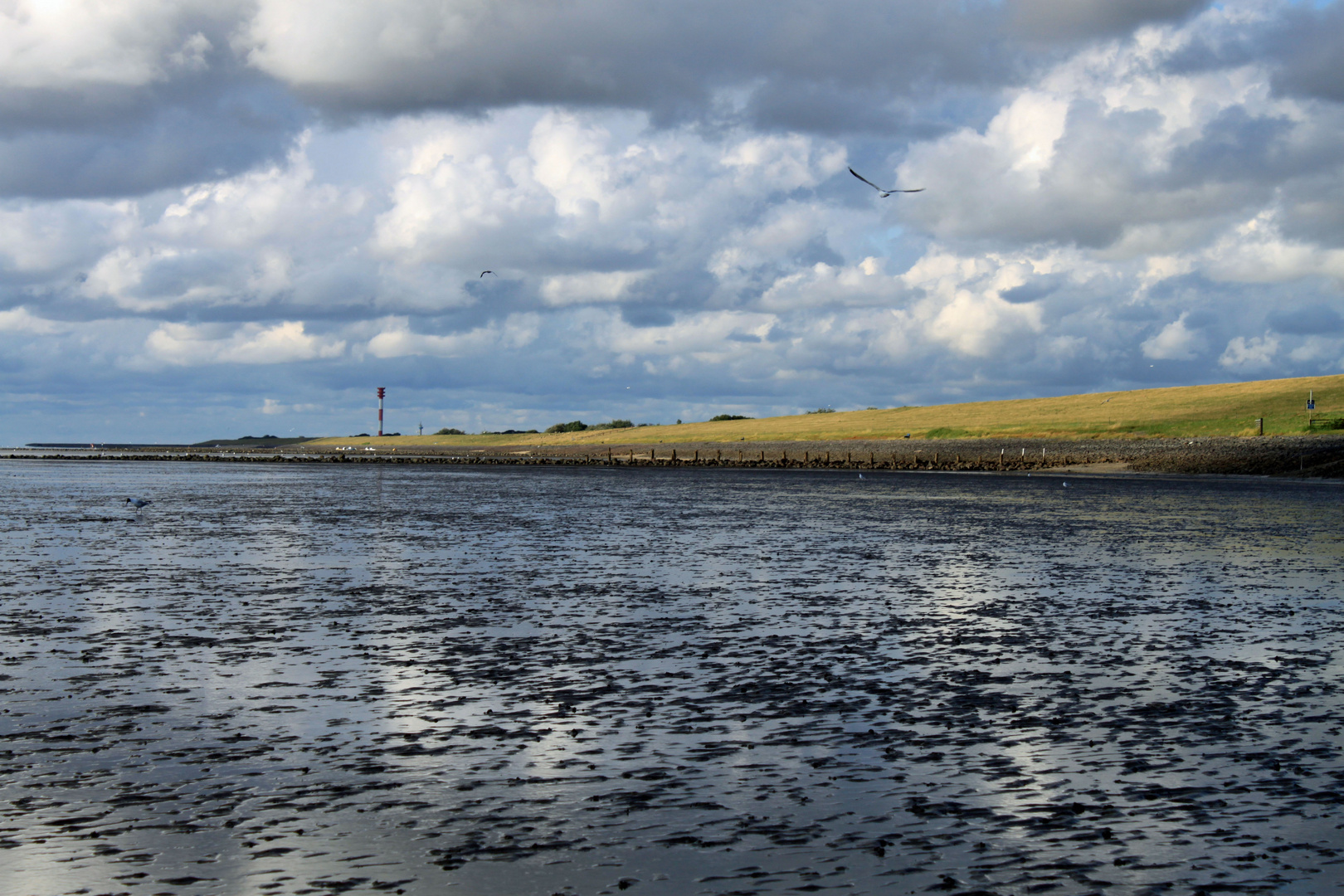 Nordsee Wattenmeer Jadebusen Foto Bild Landschaft Meer Strand Watt Bilder Auf Fotocommunity