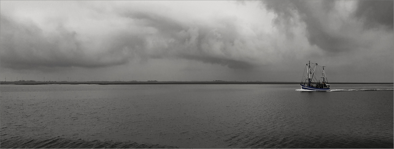 Nordsee - Wattenmeer - Schietweder