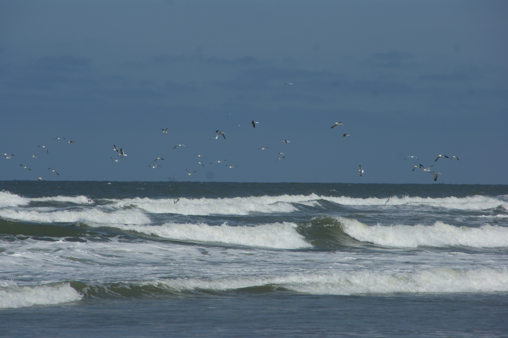 Nordsee Wellen/Möven