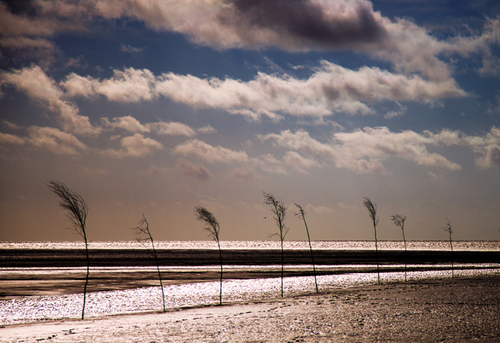 Nordsee wetter