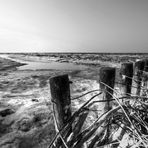 *Nordsee-Winter 2014* (3a)