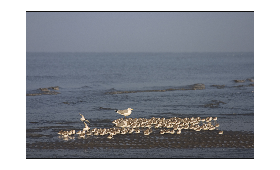 nordsee#73