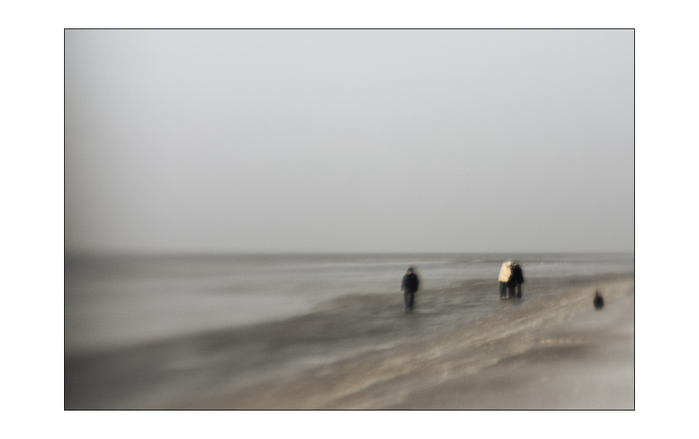 nordsee#84