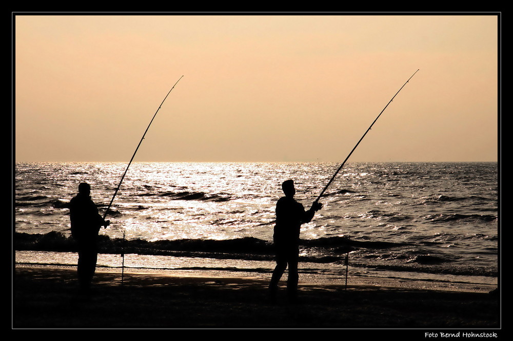 Nordseeangler ...