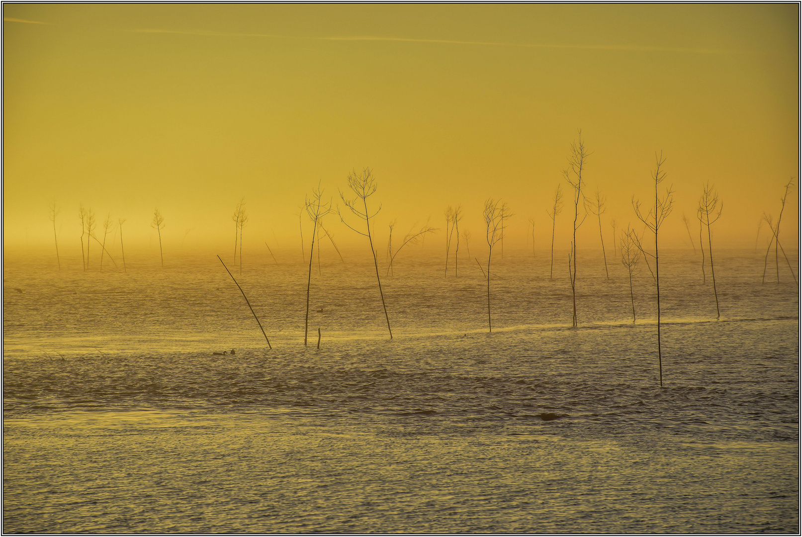 Nordseebad Wremen (4)