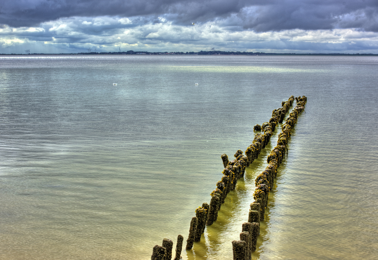 Nordseeblick