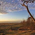 Nordseeblick