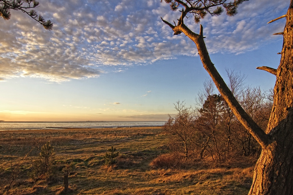 Nordseeblick