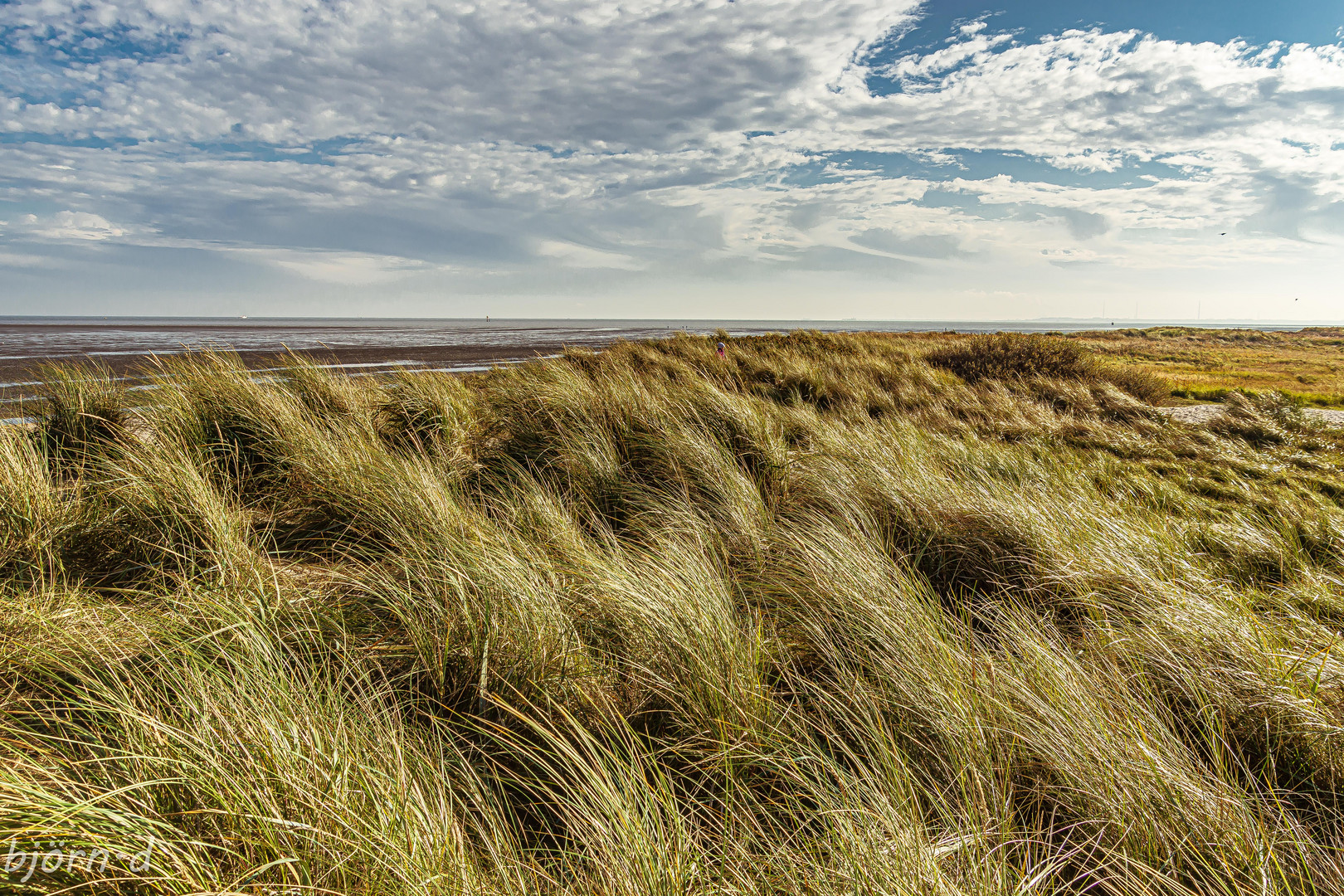 Nordseeblick