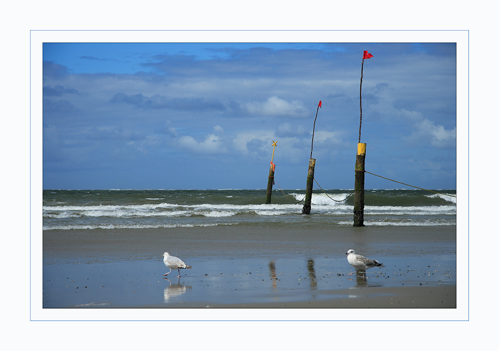 Nordseee ich komme