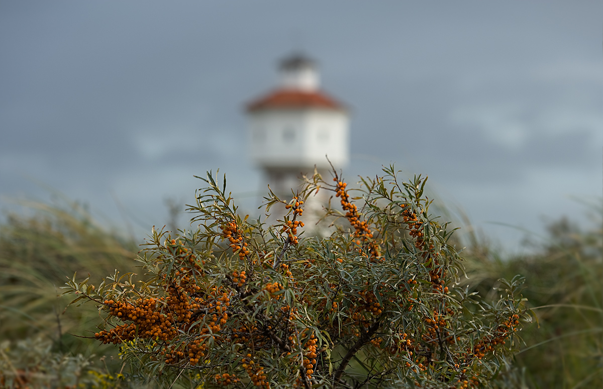 Nordseeeindrücke