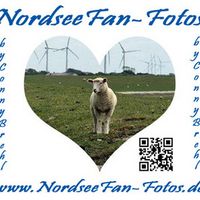 NordseeFan-Fotos