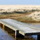 nordsee_IMG_4279