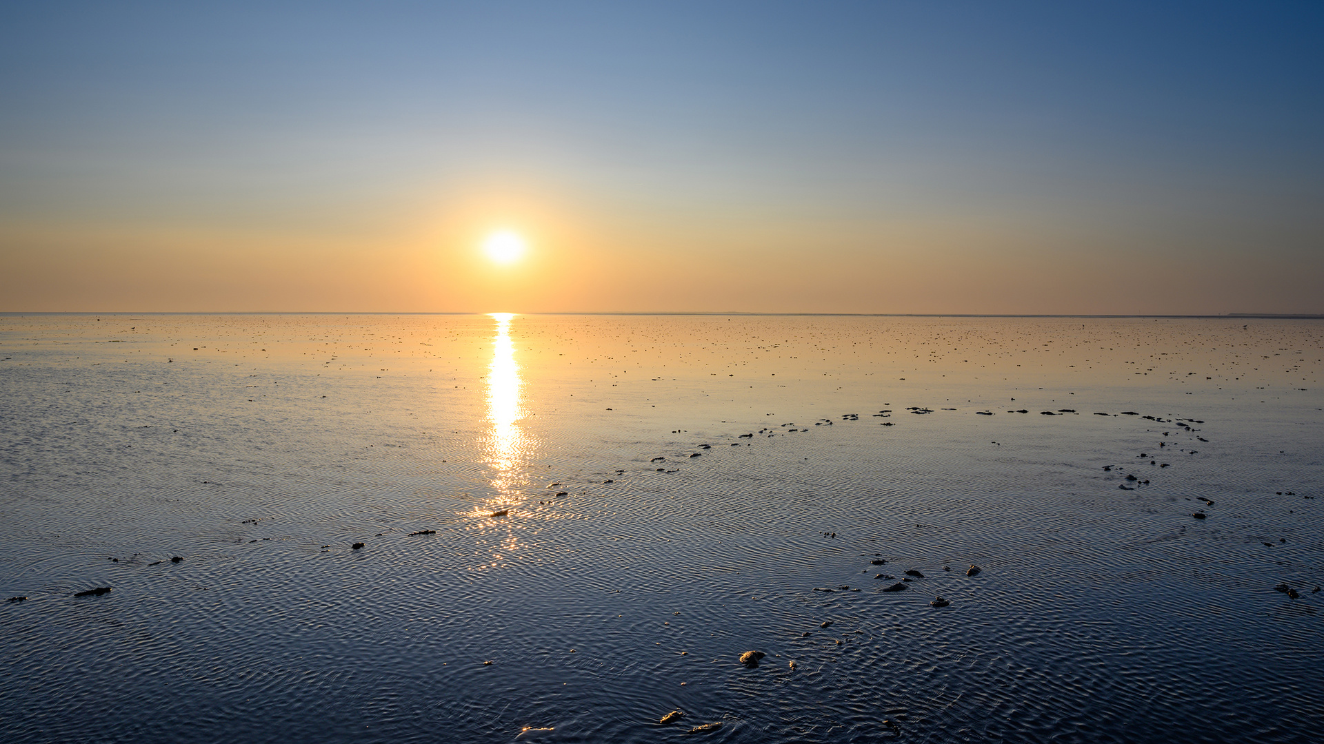 Nordseeimpressionen 23