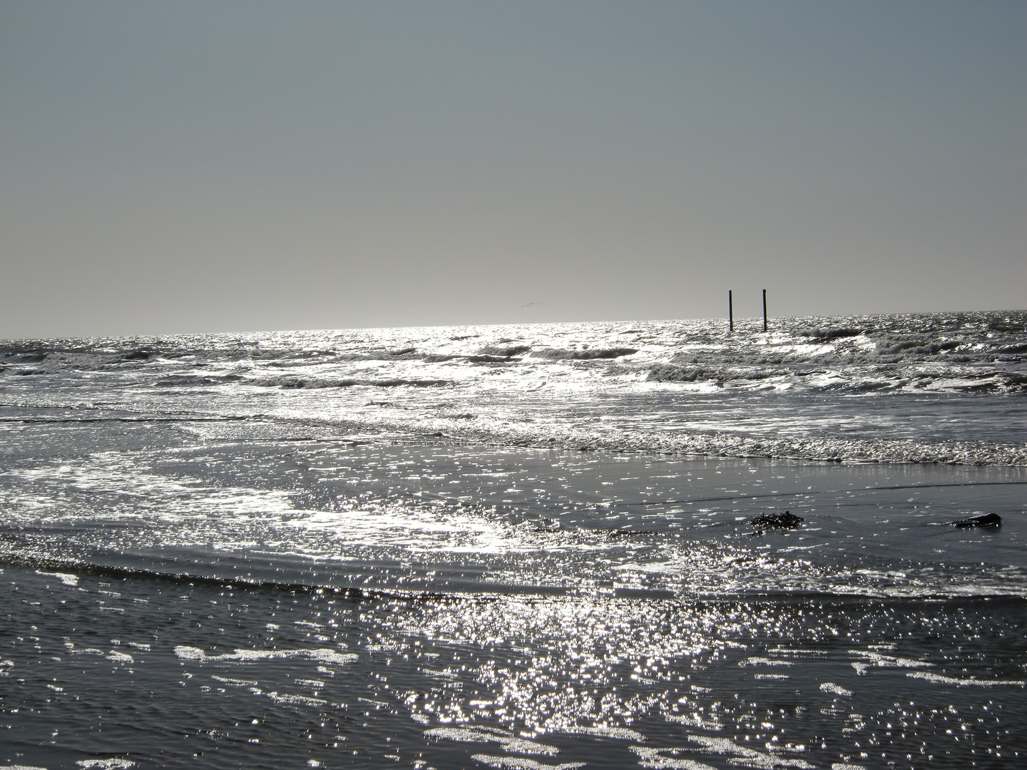 Nordseeimpressionen