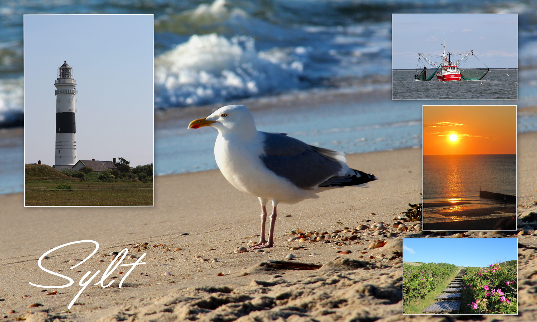 Nordseeinsel Sylt