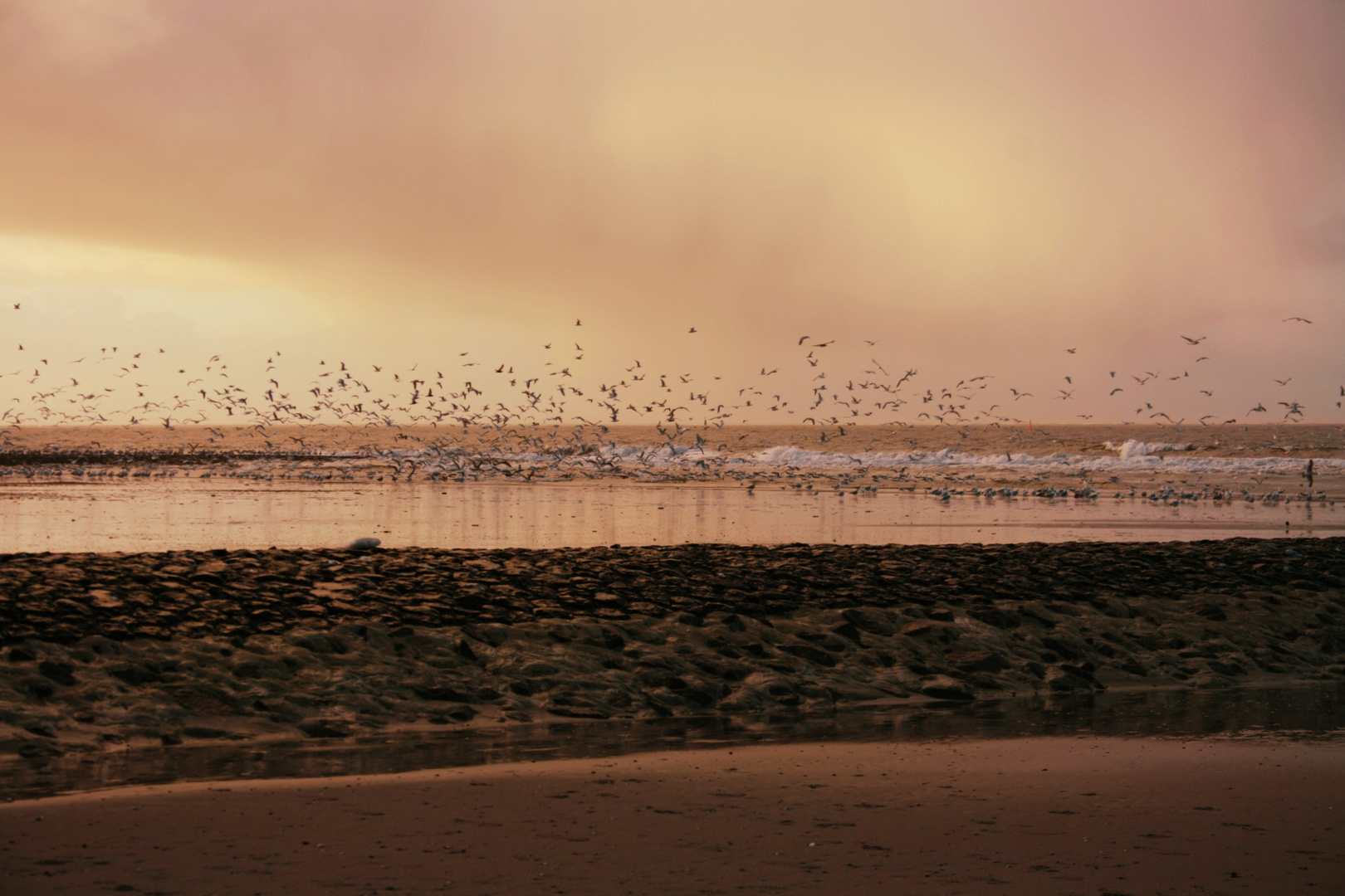 Nordseeküste an einem Winterabend