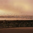 Nordseeküste an einem Winterabend