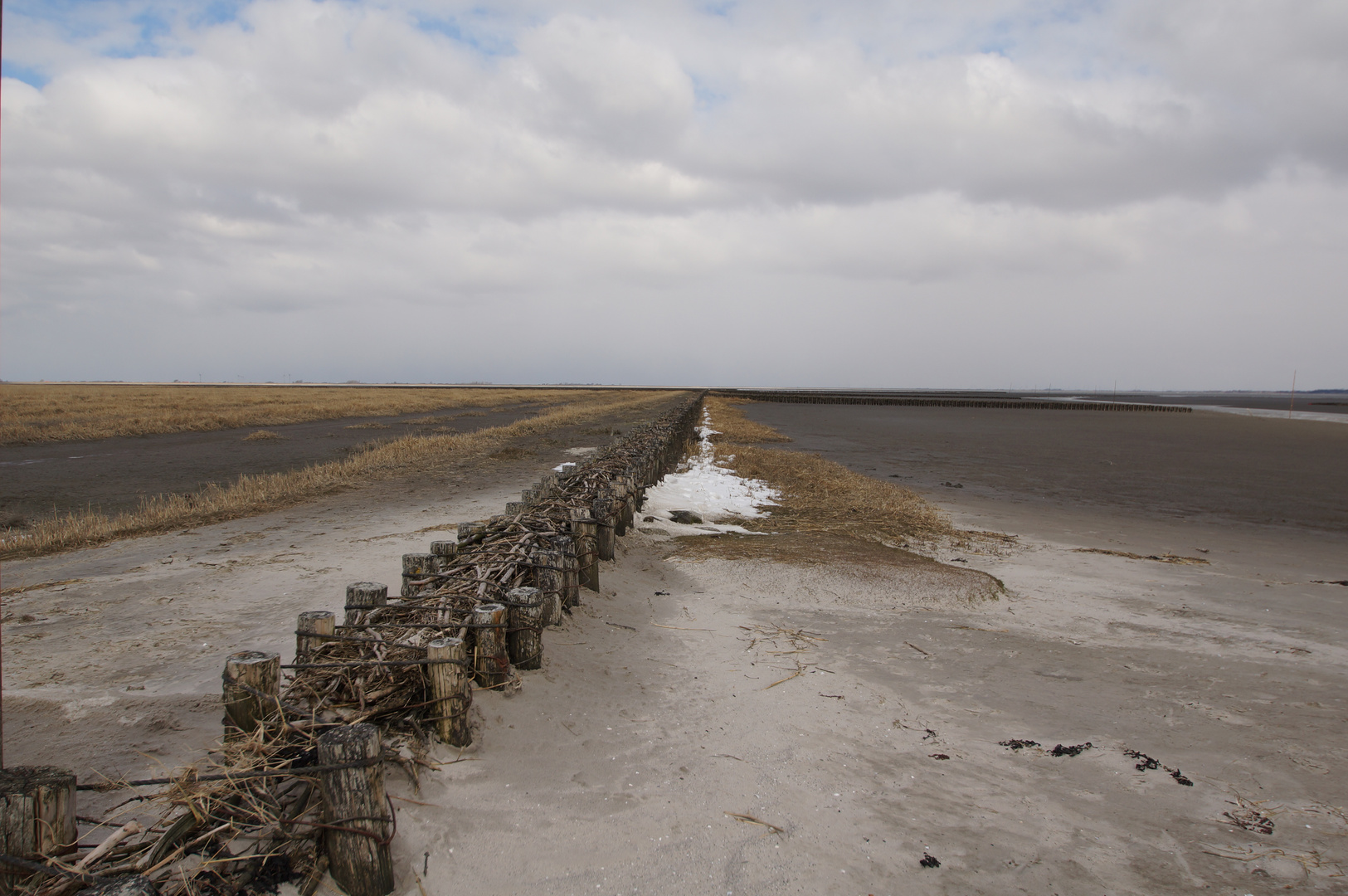 Nordseeküste bei Husum im März