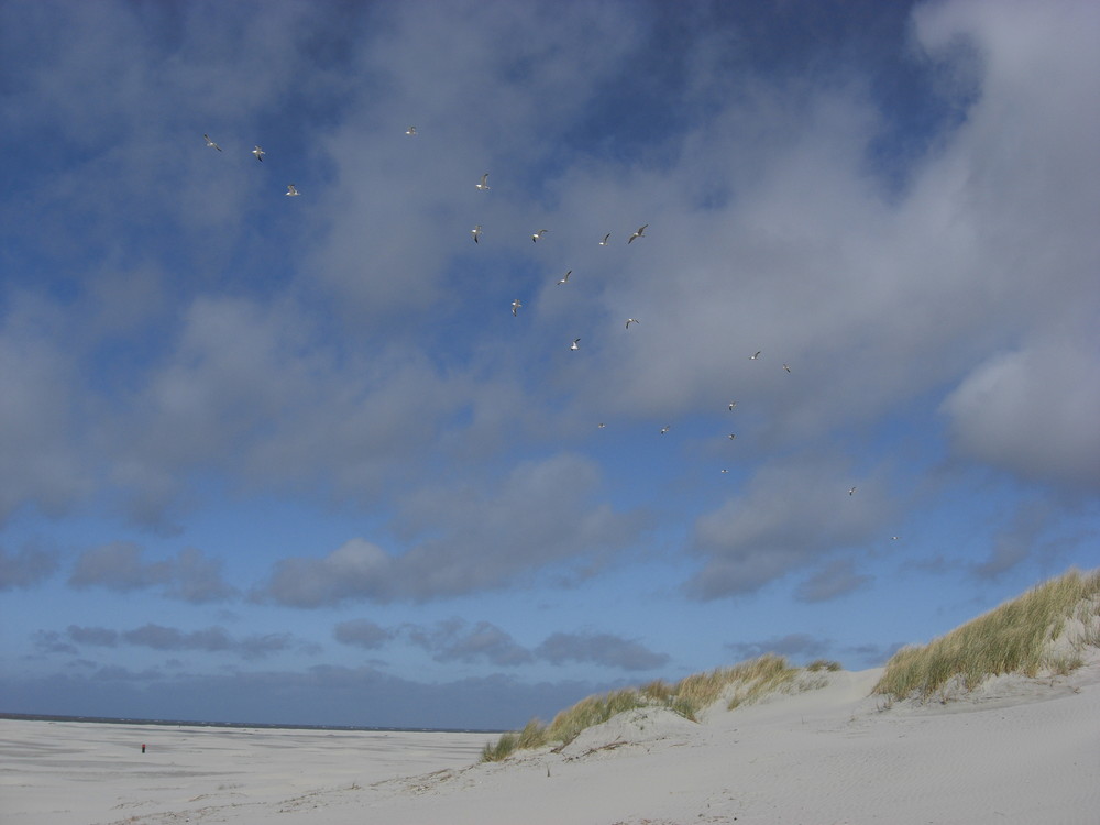 Nordseeküste Friesland