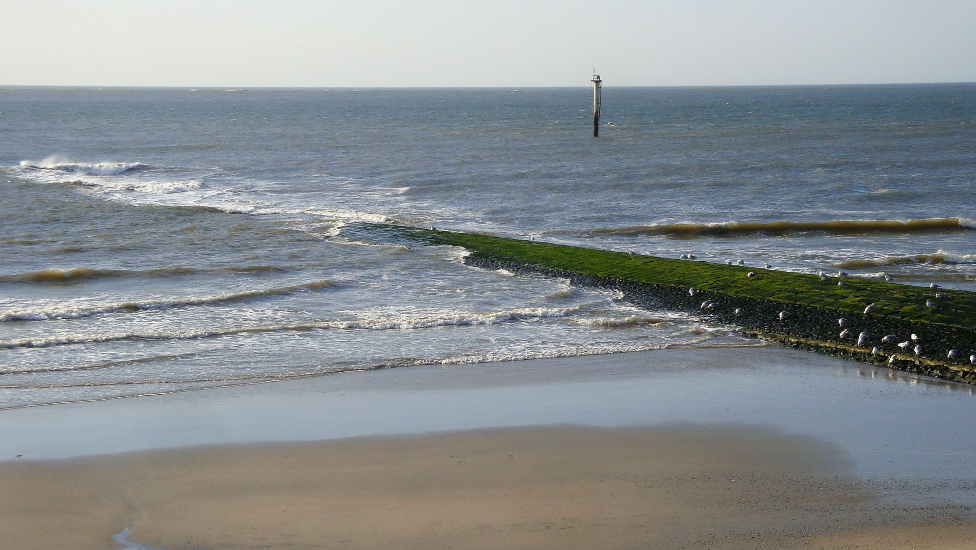 Nordseeküste im Mai