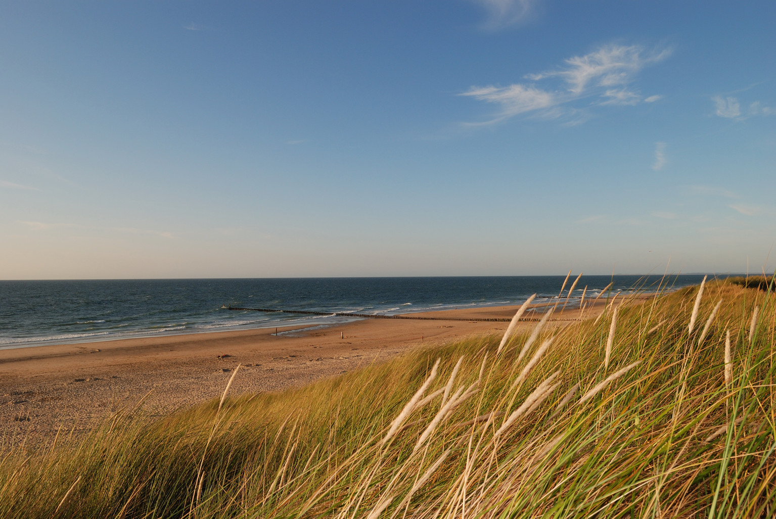 Nordseeküste im Streiflicht