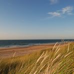 Nordseeküste im Streiflicht