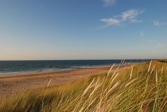 Nordseeküste im Streiflicht