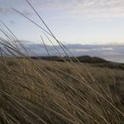 Nordseeküste in der Abenddämmerung