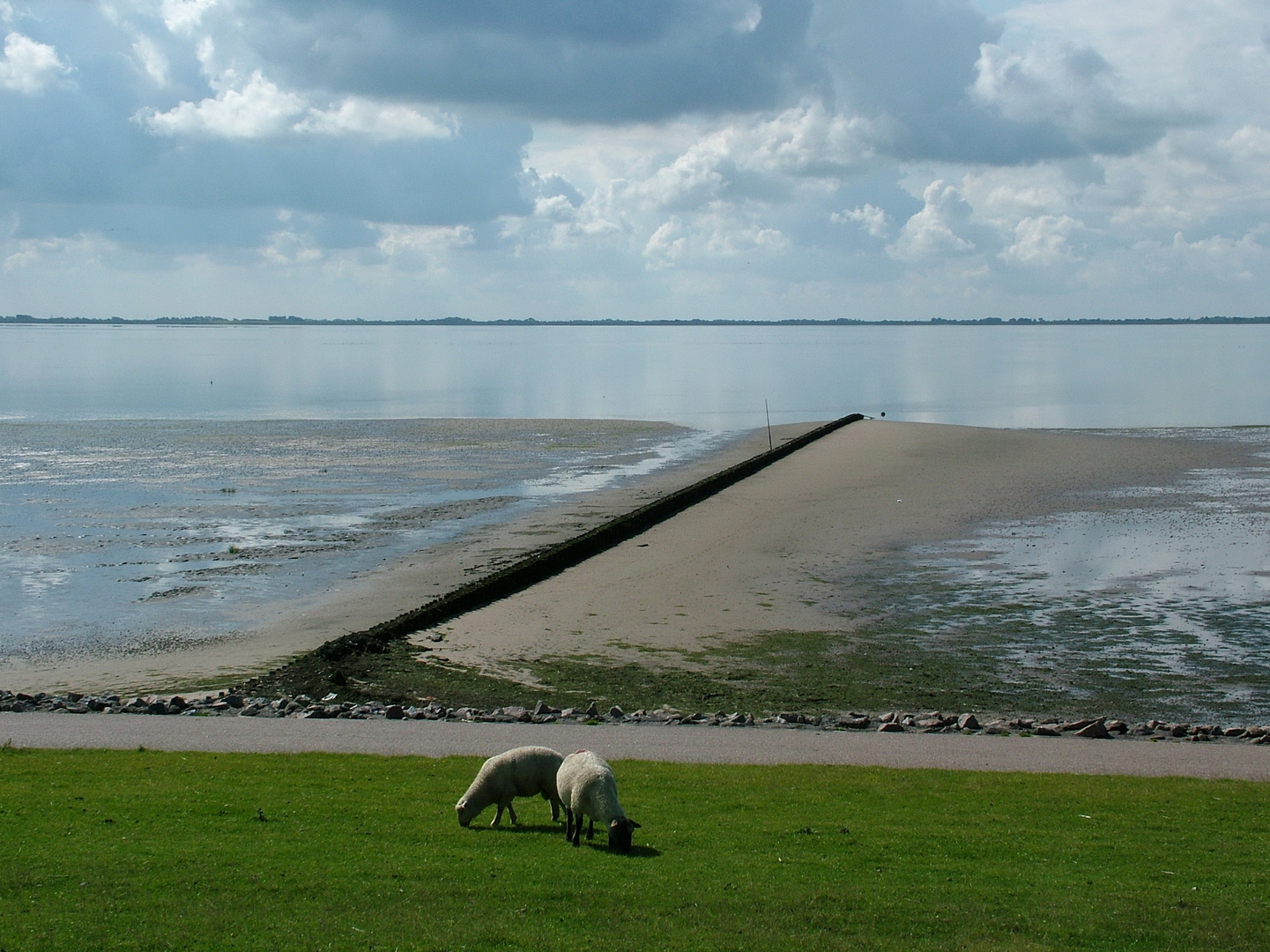 Nordseeküste nahe Bredstedt