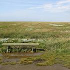 nordseeküstensalzwiese mit aussichtsbank