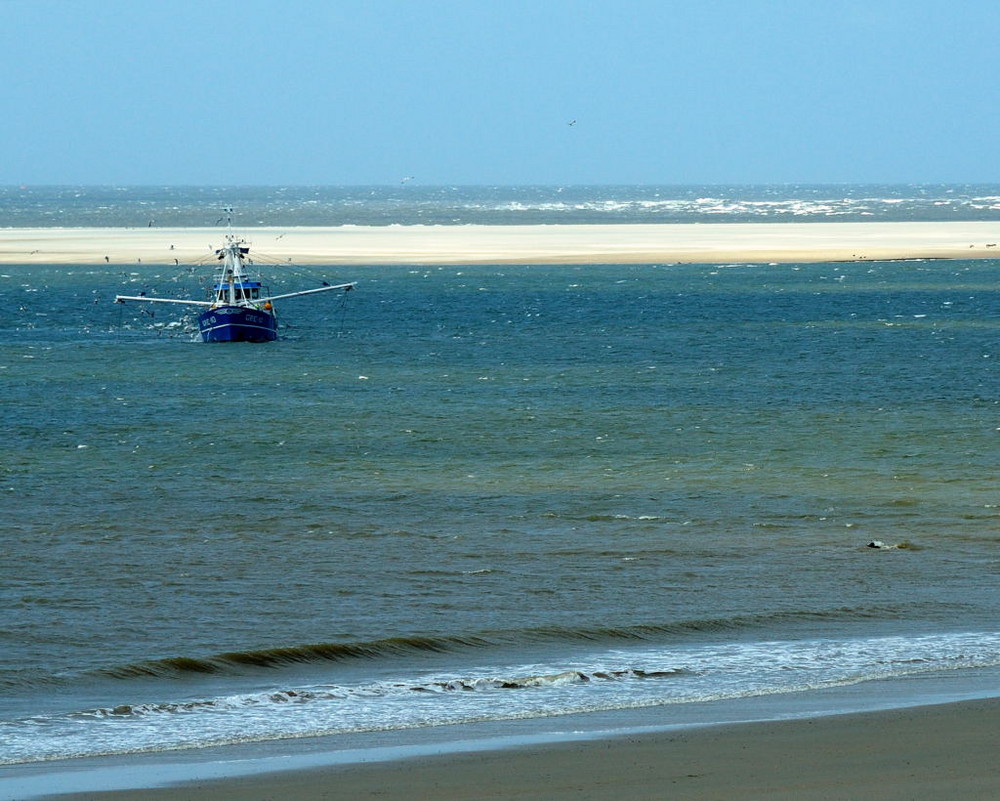 Nordseekutter vor Borkum