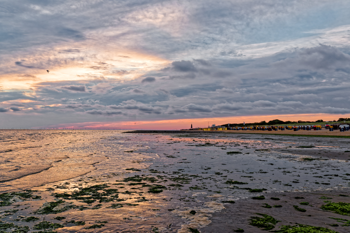 Nordseemorgen