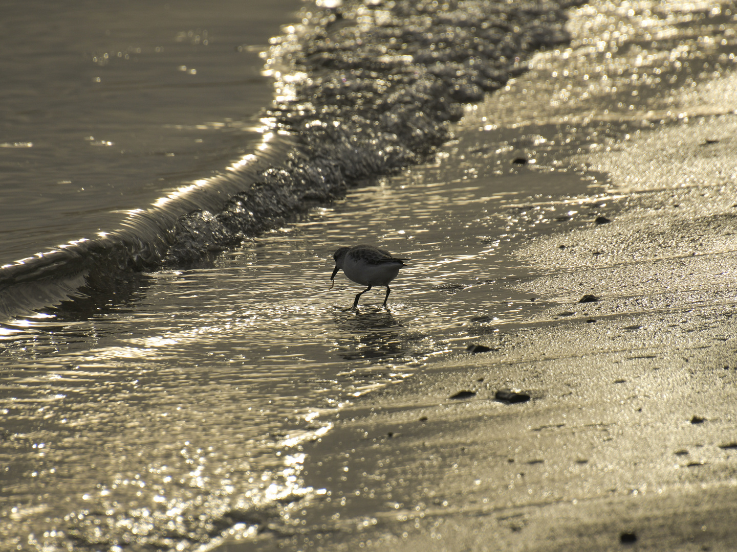 Nordseestrand