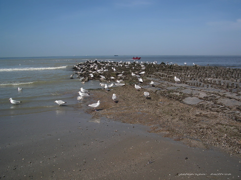 Nordseestrand...