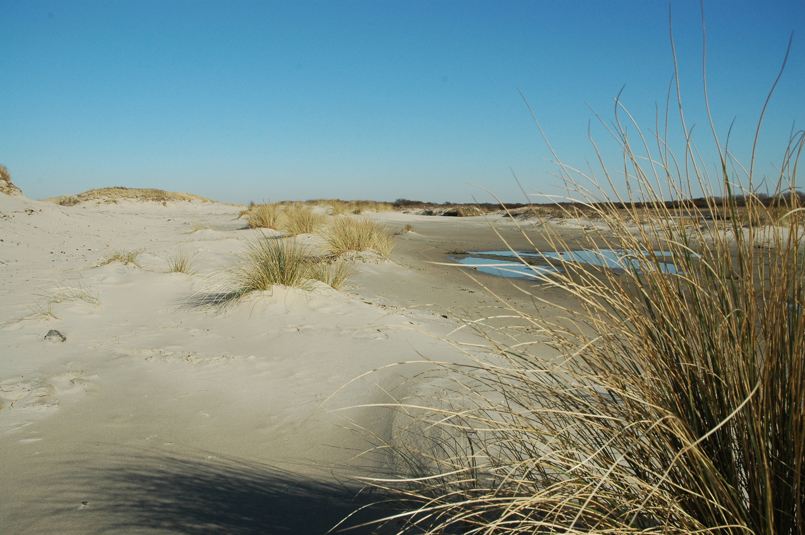 Nordseestrand