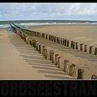 NORDSEESTRAND