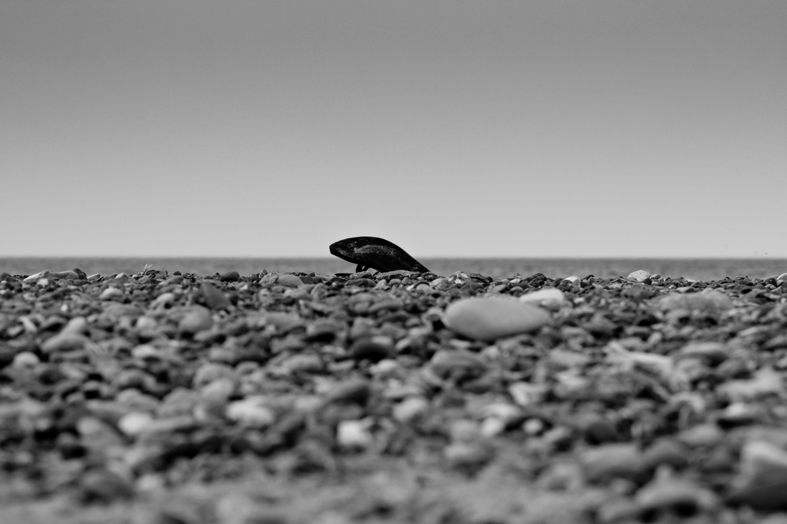 Nordseestrand in Dänemark