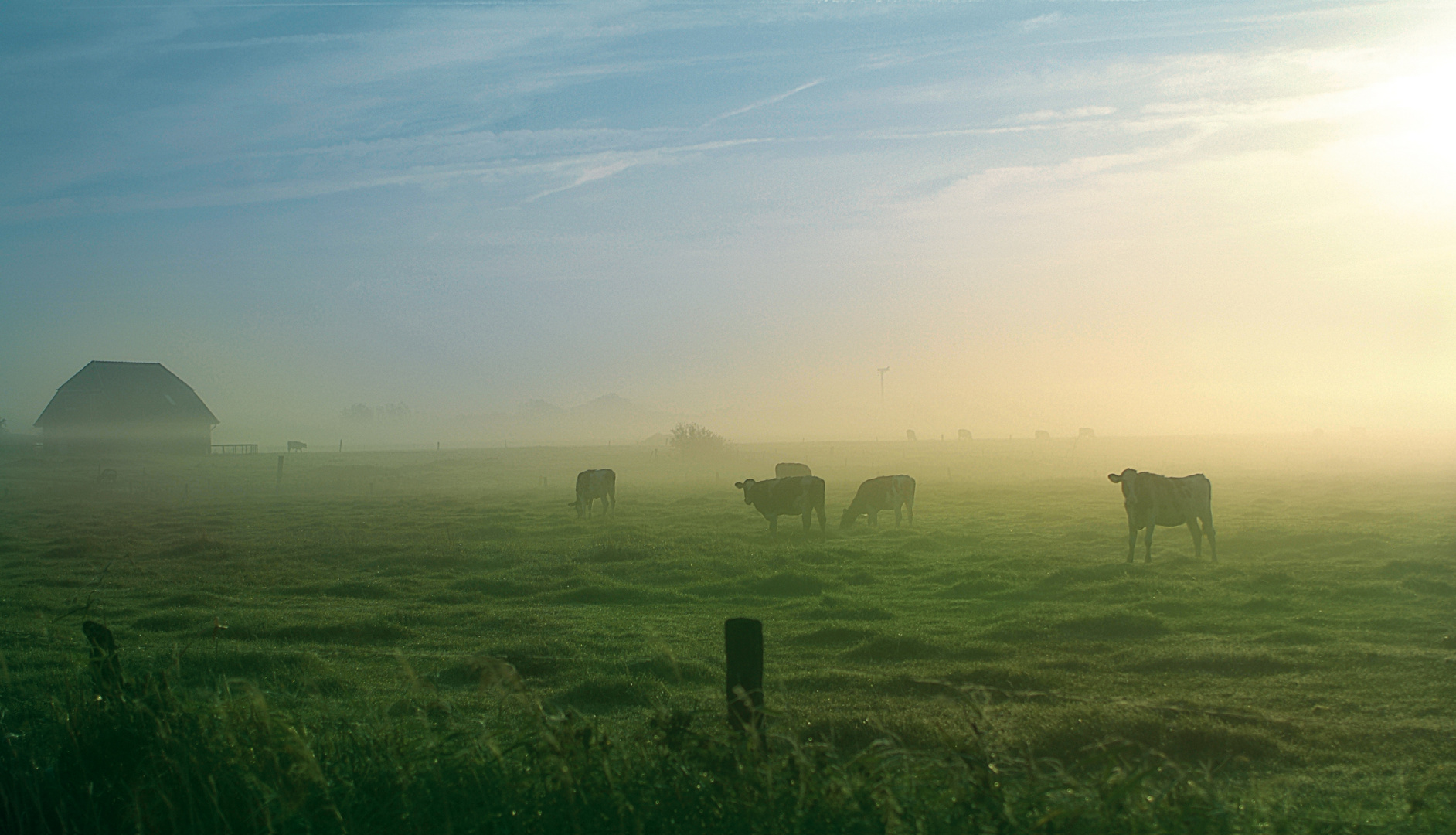 nordseewiesen