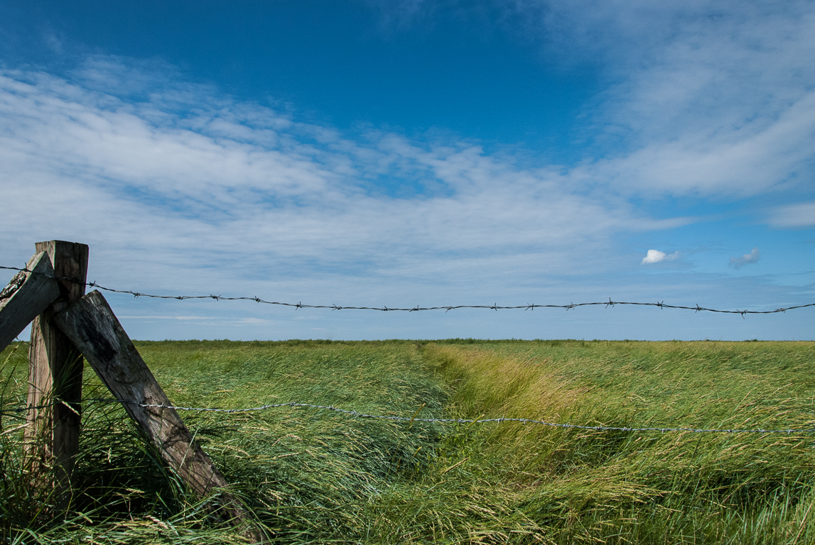 Nordseewind